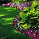 sarasota landscaping