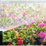 sarasota sprinkler systems